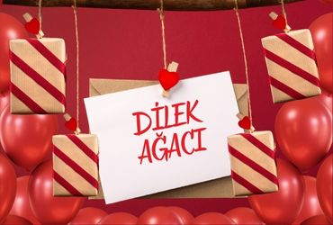 Dilek Ağacı Projesi