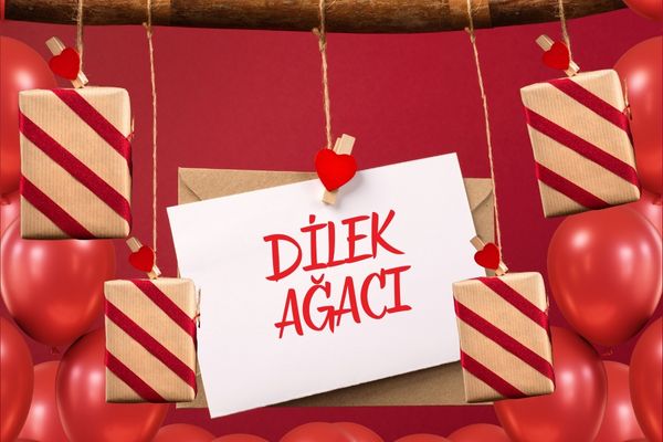 Wishing Tree Project